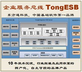 東方通tongesb 自主化企業(yè)服務(wù)總線，誠(chéng)邀客戶、伙伴與渠道合作共贏